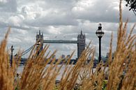 Tower Bridge London von Barbara Koppe Miniaturansicht