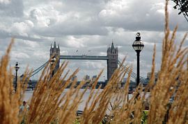 Tower bridge London by Barbara Koppe