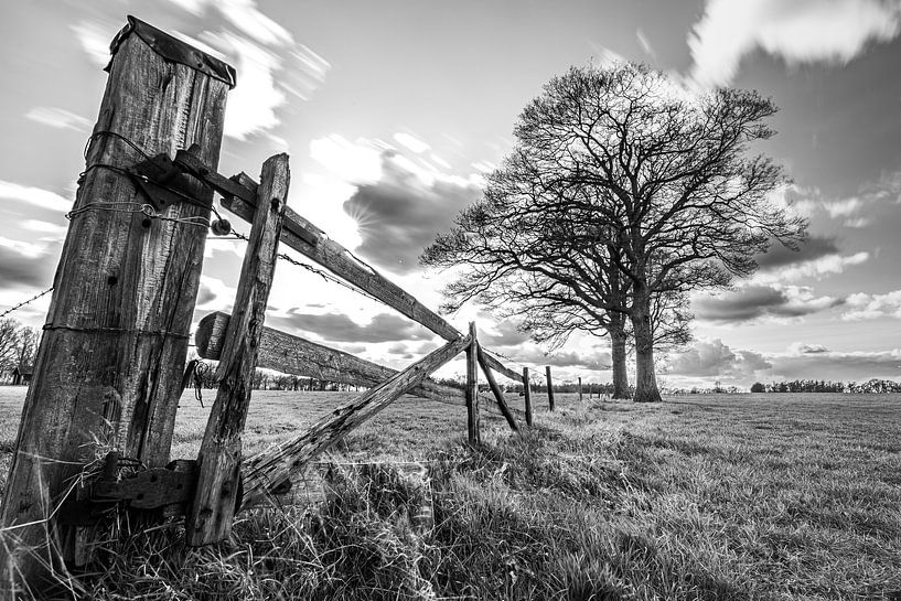 Alter Zaun bei Markelo Twente s/w. von Frank Slaghuis