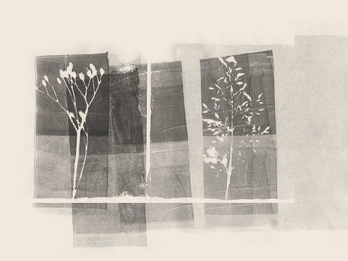 Abstrait en noir et blanc — herbes organiques sur Dina Dankers