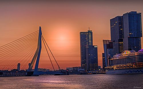 Erasmus bridge