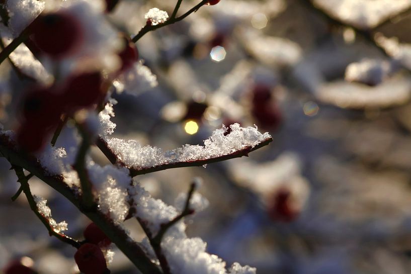 Winterimpression von Thomas Jäger