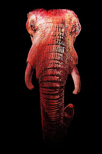 Elephant face mixed media