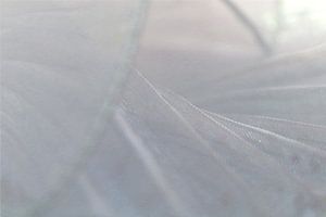 Zwischen Lichtschichten – Transparente Tiefe