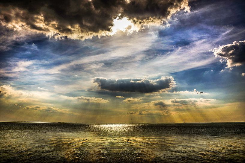 IJsselmeer von Harrie Muis