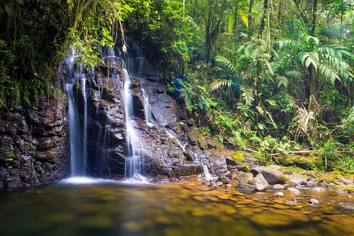 Waterval in het tropischs regenwoud van Cobán, Guatemala