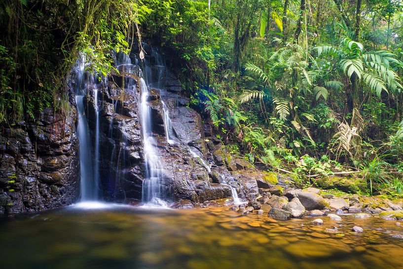 Wasserfall im tropischen Regenwald von Cobán, Guatemala von Michiel Dros
