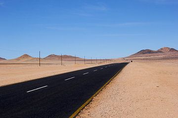 Roadtrip Namibië van Inge Hogenbijl