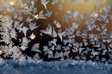 Frost in a window by Claude Laprise