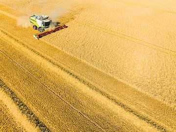 Combine oogst tarwe in de zomer gezien van opzij