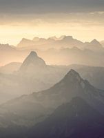 Wilde Wonderen in de Zwitserse Alpen (staande versie)