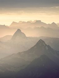 Wildwunder in den Schweizer Alpen (Hochformat)
