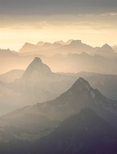 Wilde Wonderen in de Zwitserse Alpen (staande versie) van Claire Droppert