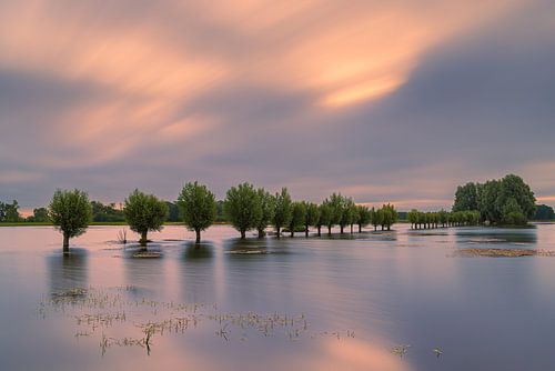 Zonsopkomst in natuurgebied Noordma, Drenthe