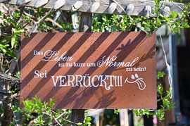 Funny saying by Tanja Voigt