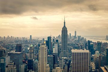 Uitzicht over Downtown Manhattan