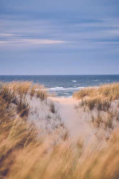 Path to the sea - dunes near Blokhus by Florian Kunde