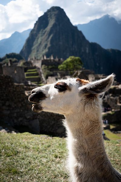 Machu Picchu by Hello Pompoyo