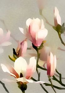 Romantischer Magnolien Baum