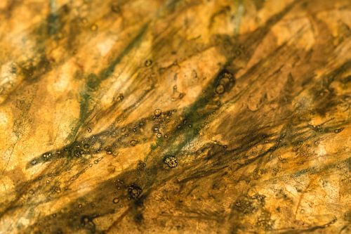 De structuur van een oud blad in herfst kleuren