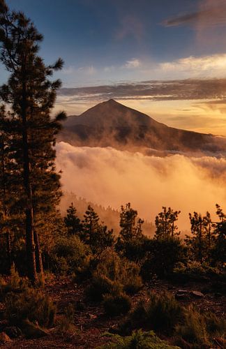 Teide