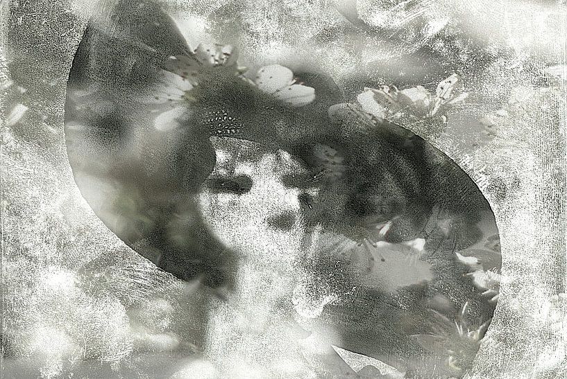 2 von Marianna Pobedimova