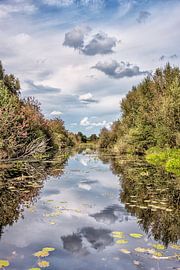 Landschap in De Deelen nabij Oldeboorn-Friesland sur Harrie Muis