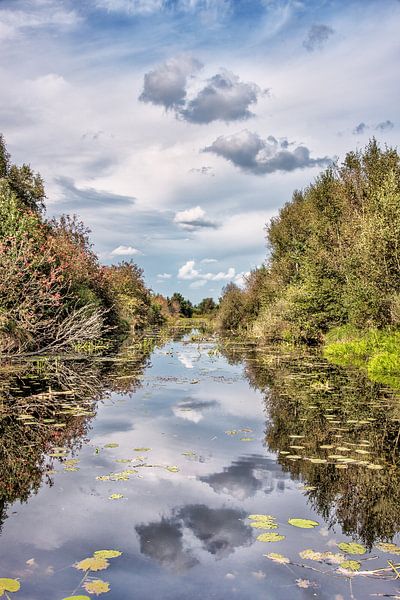 Landschap in De Deelen nabij Oldeboorn-Friesland von Harrie Muis