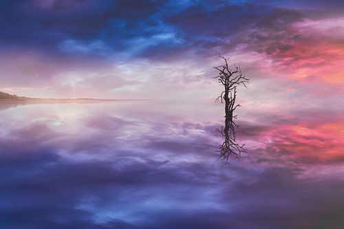 Krachtige Beeldmanipulatie van Boom bij Zonsondergang boven Kabbelend Water