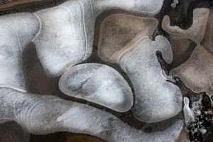IJssculpture met bruintinten van Franke de Jong