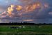 Sommerlandschaft Foto von Kühen in der Polder mit schönen Wolken. von Eyesmile Photography