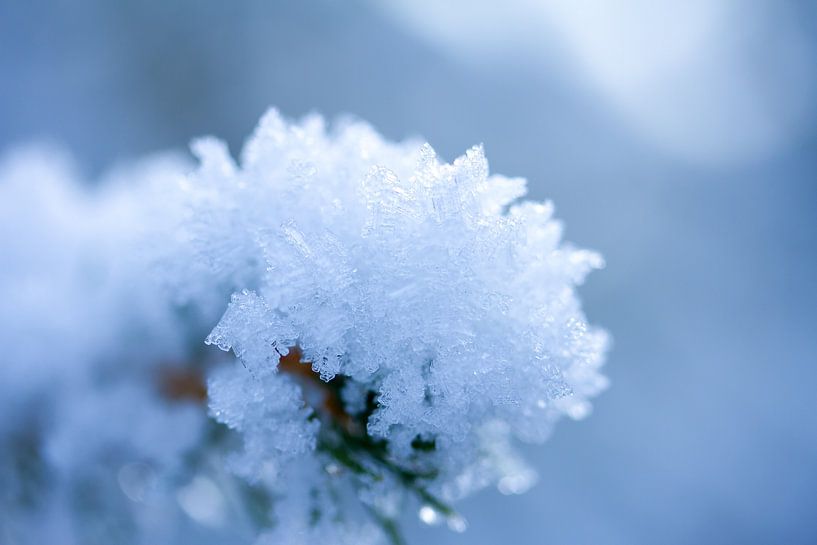 Winter photo, macro photo of snow in the Drenthe by Karijn | Fine art Natuur en Reis Fotografie