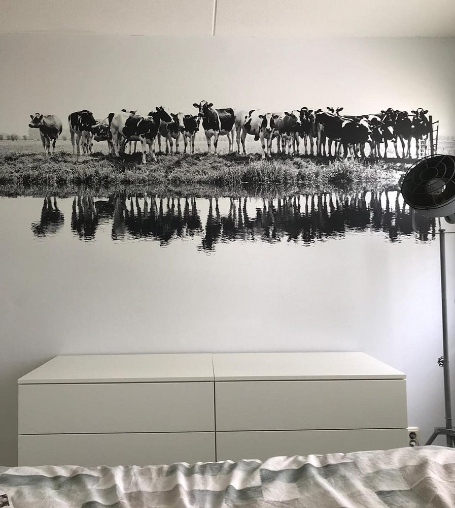 Kühe in einer Reihe (schwarz/weiß) von Annemieke van der Wiel