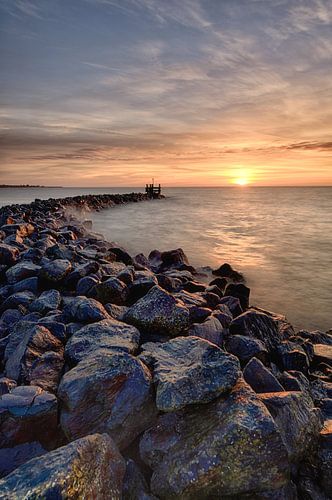 Vluchthaven Wijdenes