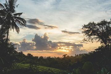 Bali rijstvelden / reisfotografie van Annelies Hoek