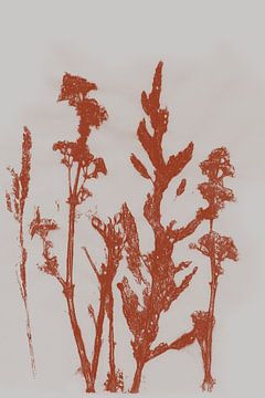 Moderne Botanische kunst. Wilde bloemen in terracotta nr.1 van Dina Dankers