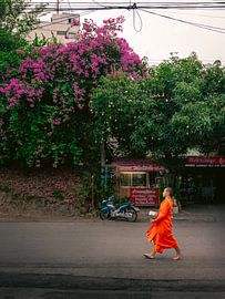 Buddhist monk crosses the street in Chiang Mai amidst blossoming trees by Thea.Photo