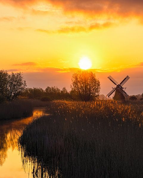Lever de soleil au Noordermolen par Henk Meijer Photography