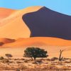 Namibie Sossusvlei sur Jean Claude Castor