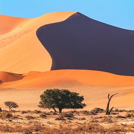 Namibia Sossusvlei by Jean Claude Castor