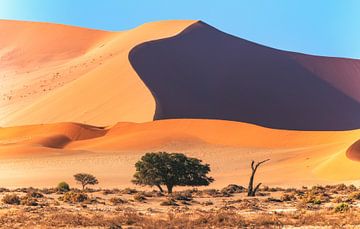 Namibia Sossusvlei von Jean Claude Castor