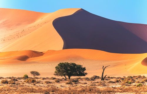 Namibia Sossusvlei by Jean Claude Castor