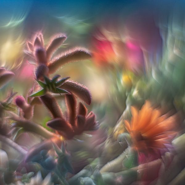 Trippy 2 by Marjon Birza