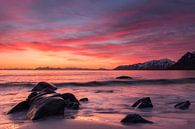 Zonsopgang op de Lofoten (Noorwegen) van Heidi Bol thumbnail