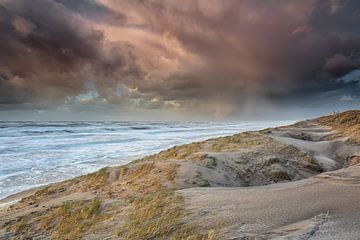 Strand Noordwijk van Aland De Wit