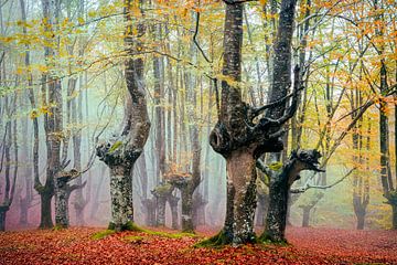 Urkiola van Lars van de Goor