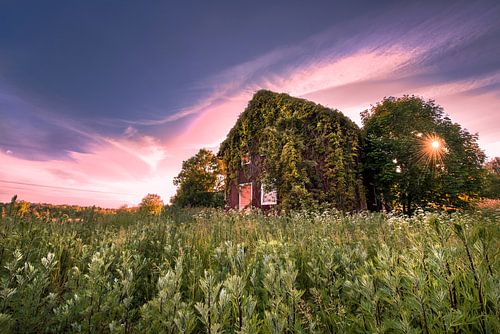 Nature house in Sweden