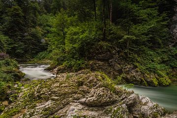 Vintgar gorge van Maurice Hoogeboom