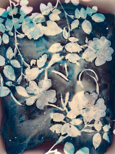 Layered flowers in blue van Monja van Deurzen