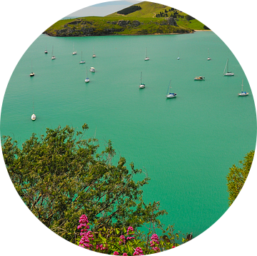 Blauw water in een baai in Nieuw-Zeeland van Denis Feiner